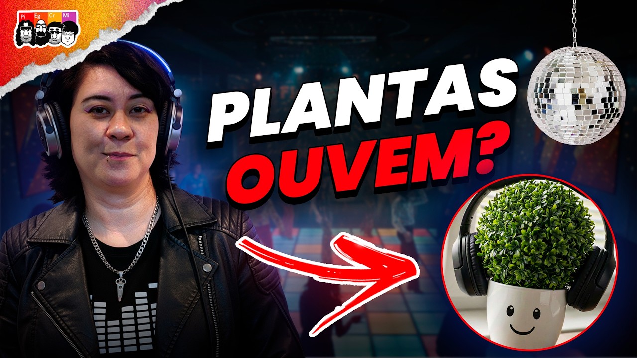 SEMENTES que OUVEM a chuva: o que um experimento provou?