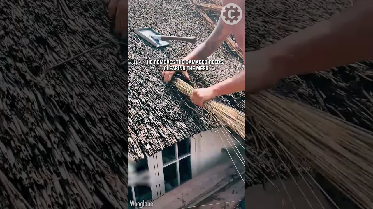 Traditional Thatcher shows how to repair squirrel damage