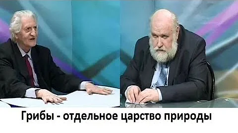 Грибы - отдельное царство природы