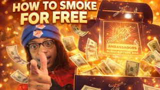 How I Get Free Products as a Content Creator