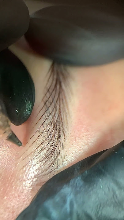 Zoom in a flick technique for a best Nano HairStrokes Brows | Grand Master Trainer Brian Ho