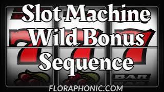 Slot Machine Wild Bonus Sequence Game Sound Effects
