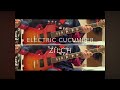 zilch-ELECTRIC CUCUMBER【guitar cover】