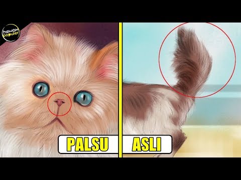 Video: Dokumen Apa Yang Diperlukan Untuk Kucing Ras Asli