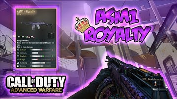 Call Of Duty AW-ASM1 Royalty-Stealth Class Setup
