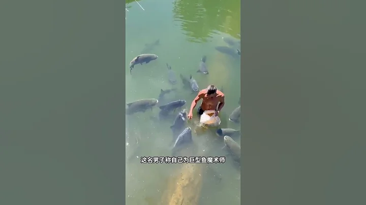 如果你養了一群聽話的魚，你還釣魚嗎？ - 天天要聞