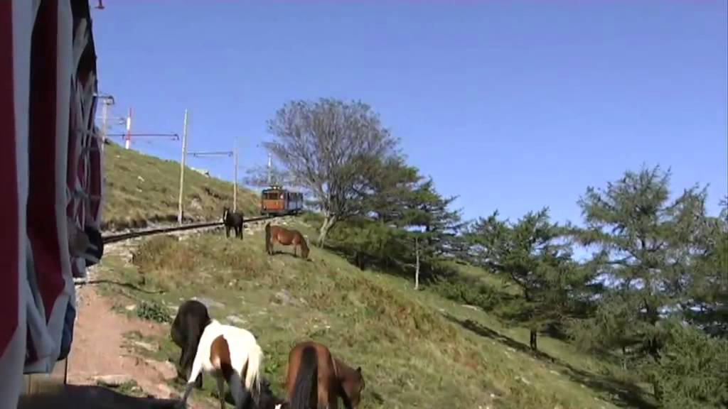 Le petit train de la Rhune, une machine bien huilée