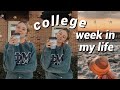college week in my life // classes, beach, cooking + friends!