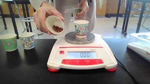 LABsent Bean Bag Isotope Lab