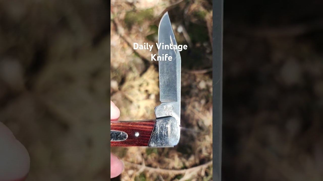 Daily Vintage Knife: Buck 704 Maverick - YouTube