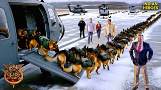 Cid Team     Mission  Cid  Best Of Cid  New Episode 2026