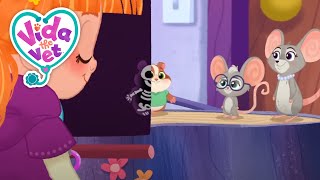 Popcorn’s XRay Bad Day + MORE Cute @VidaTheVet Stories | Animal Cartoons for Kids   #Animals