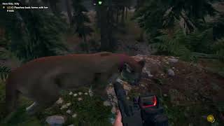 Far Cry 5 | Here Kitty, Kitty | Lead Peaches Back Home With Her Treats | Gameplay.
