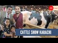 Dalfa cattle show 2024expo centre karachiseason 3