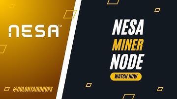 Nesa Miner Node | Run Node on VPS