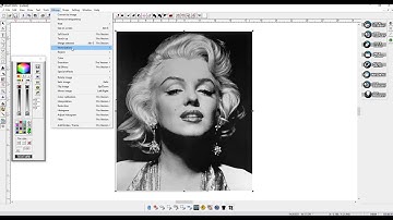 How Photo Cut function works in WinPCSIGN