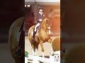 Susan Pape (GBR) and Harmony's Giulilanta win Qualifier 5 of the US Equestrian Open Dressage Series.