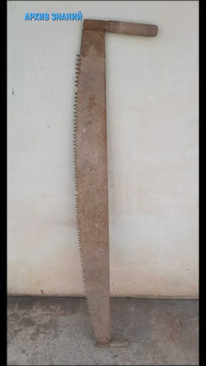 Пила дружба-2 - YouTube