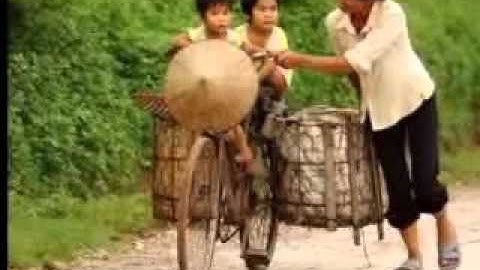 Mẹ của anh nhạc: Trịnh Vĩnh Thành, thơ: Xuân Quỳnh, TB: Thùy Dương