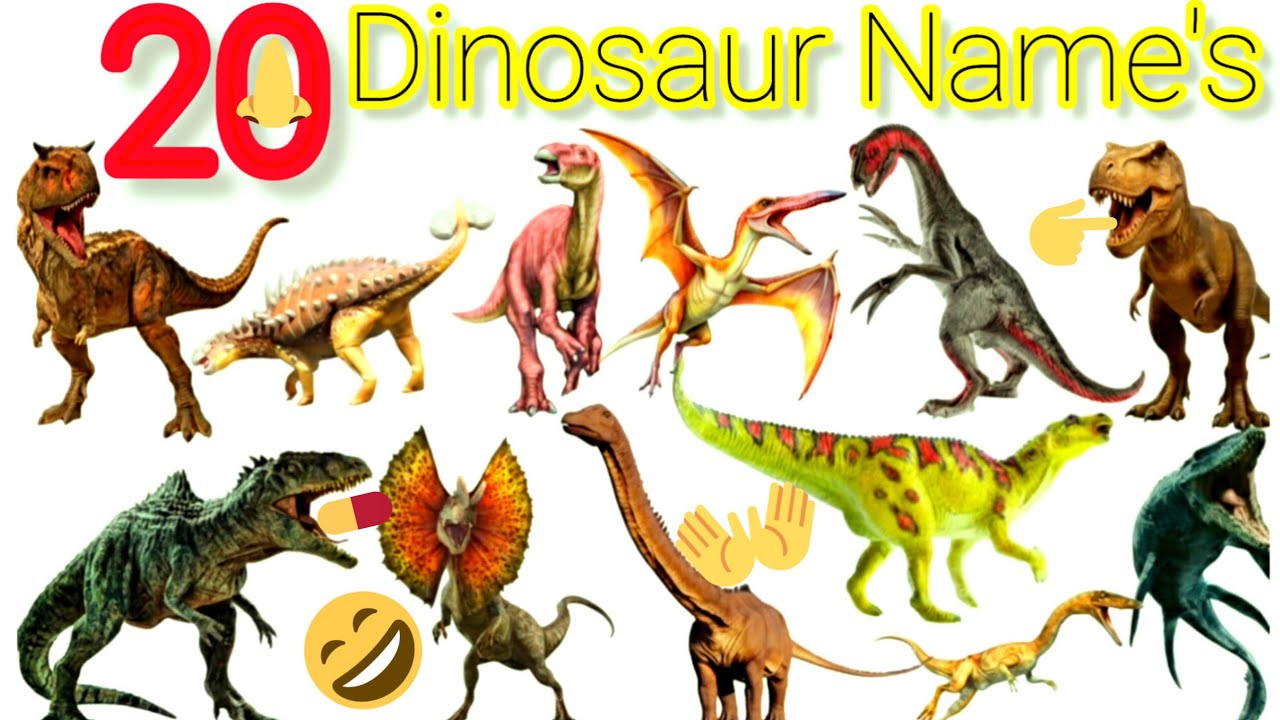 20 Dinosaur Names english and hindi | fun learning for children | vocabulary preschool Animals video