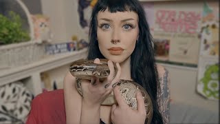 How Often Do My Pet Snakes Bite Me?