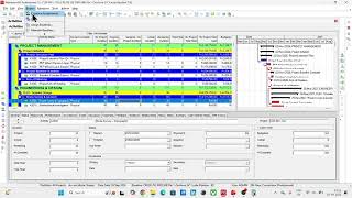 Time Impact Analysis (TIA) in Primavera P6 | Step-by-Step Delay Analysis Using Fragnet