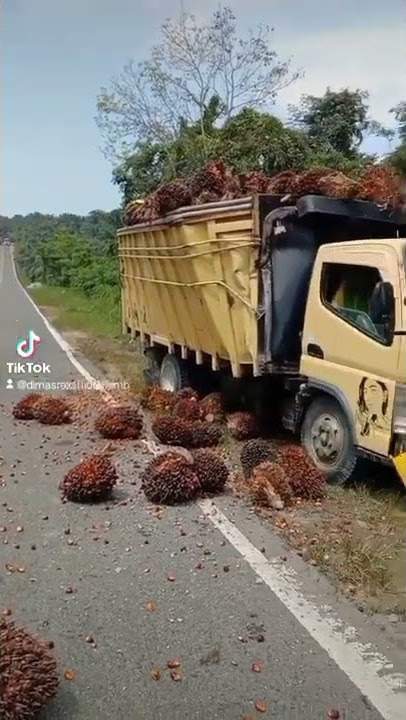 yg sbar y buat sedulurku truk sawit deriver mudah