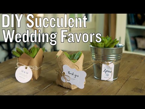 Wideo: Upominki dla roślin weselnych - jak wyhodować własne upominki weselne