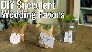 Succulent Wedding Favors