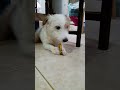 JRT Toto and JRT Nano EP. 055