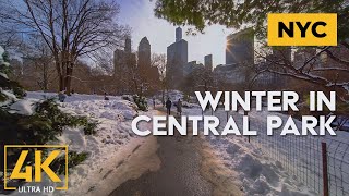 Winter Walk through Central Park, Manhattan, NYC - December, 2020 - 4K Virtual Tour with City Sounds