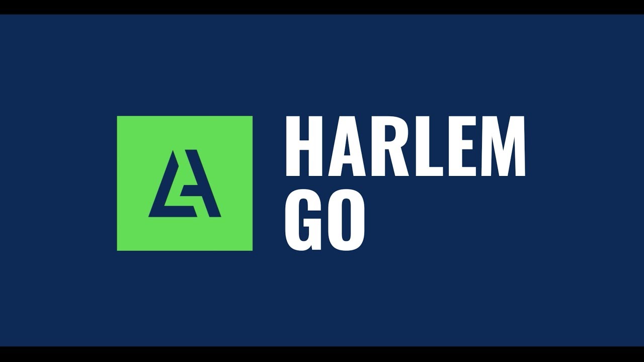 Harlem Go V4 - Freeride/Big Air Kite