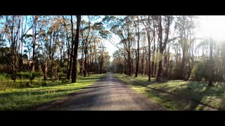 Lysterfield Park 5Km Trail Walk Quick 10Min Overview 4K