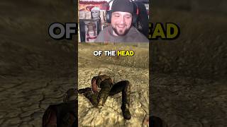 Back of the head 😭 #fallout #twitch #ps5 Fallout New Vegas PS5