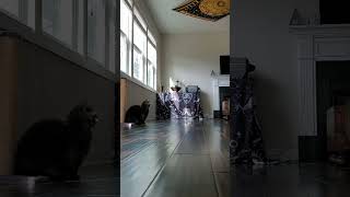 The Raleigh Rant Wip