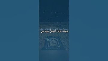 اكتب شيء تُؤجر عليه 😴💚 قرآن كريم | ياسر الدوسري