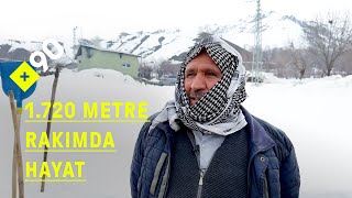 Hakkâride Bir Ömür Kar Eridikçe Yeni Çiçekler Çıkıyor