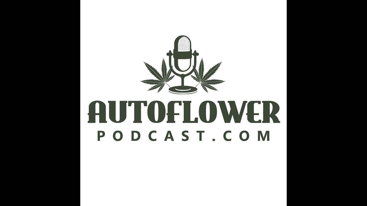 Ep53: Basement Autoflowers