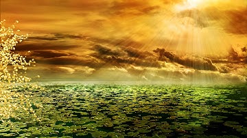 سورة الذاريات مشاري العفاسي باجمل قراءة