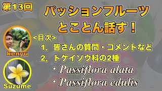 【果樹ラジオ13】パッションフルーツ Passiflora について！ゆっくり解説する！