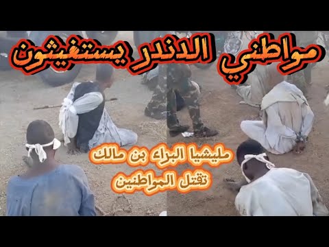 تصفية المواطنين بالدندر والسوكي بواسطة الجيش السوداني ومليشيات الاخوان المسلمين