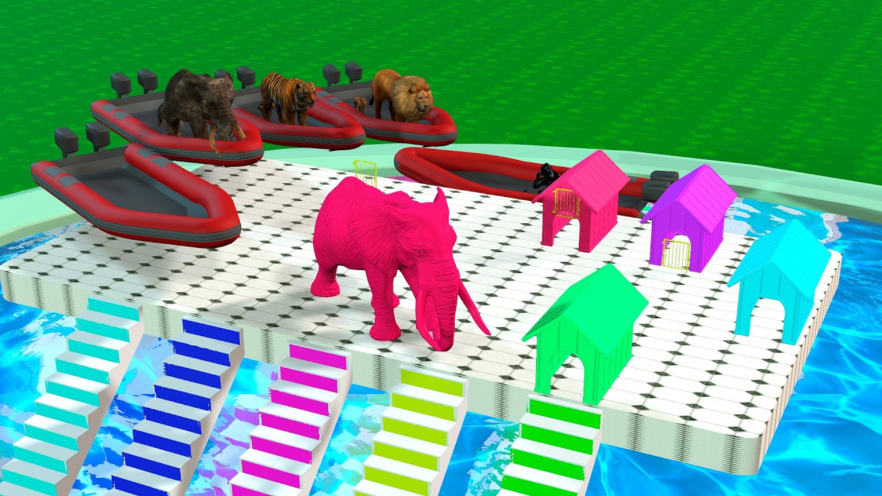 Long Slide Game With Elephant Gorilla Tiger 3d Animal Game Funny 3d Animals#32