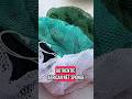 HOW TO SPOT THE REAL AFRICAN NET SPONGE #africanfabs #africannetsponge #exfoliateyourskin #netsponge