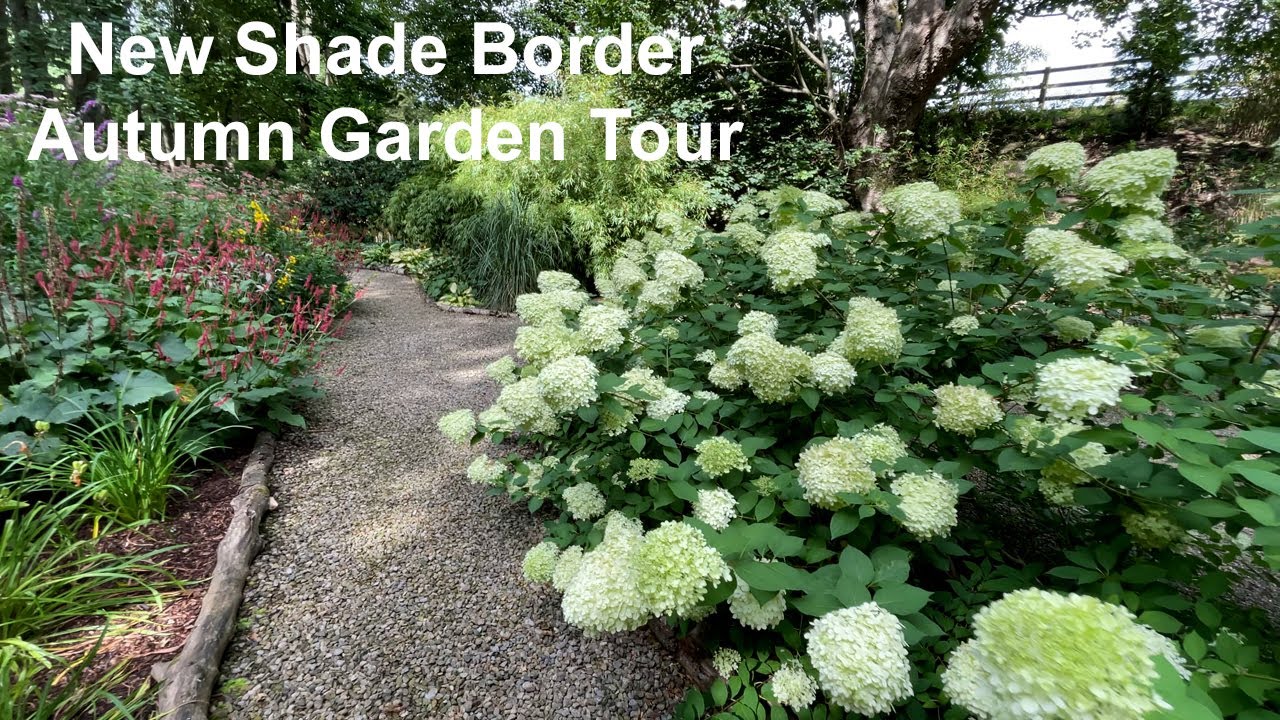 Shade planting and Autumn Tour