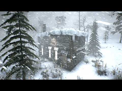 BRUTAL ALASKAN WINTER with EXTREME COLD and Heavy Snow & Howling Wind Ambience 2026