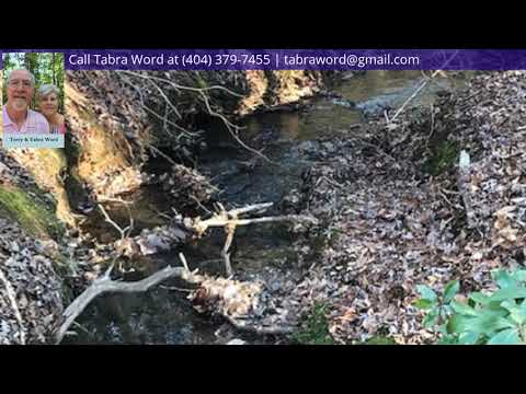 920 Dry Pond Lane, Canton, GA home video tour