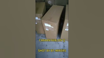 🚀 Meet the future of home mining: Avalon Q 🏠⚡