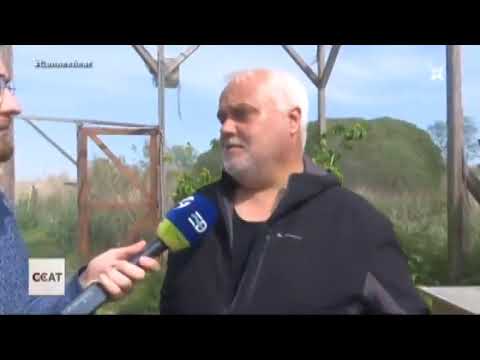 La Fundació Plegadís i la cuida dels ocells amposta weather