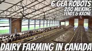 Milking 280 Cows With GEA Milking Robots! British Columbia