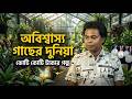 গাছের প্রতি ভালোবাসা এক অভূতপূর্ব সাফল্যের গল্প